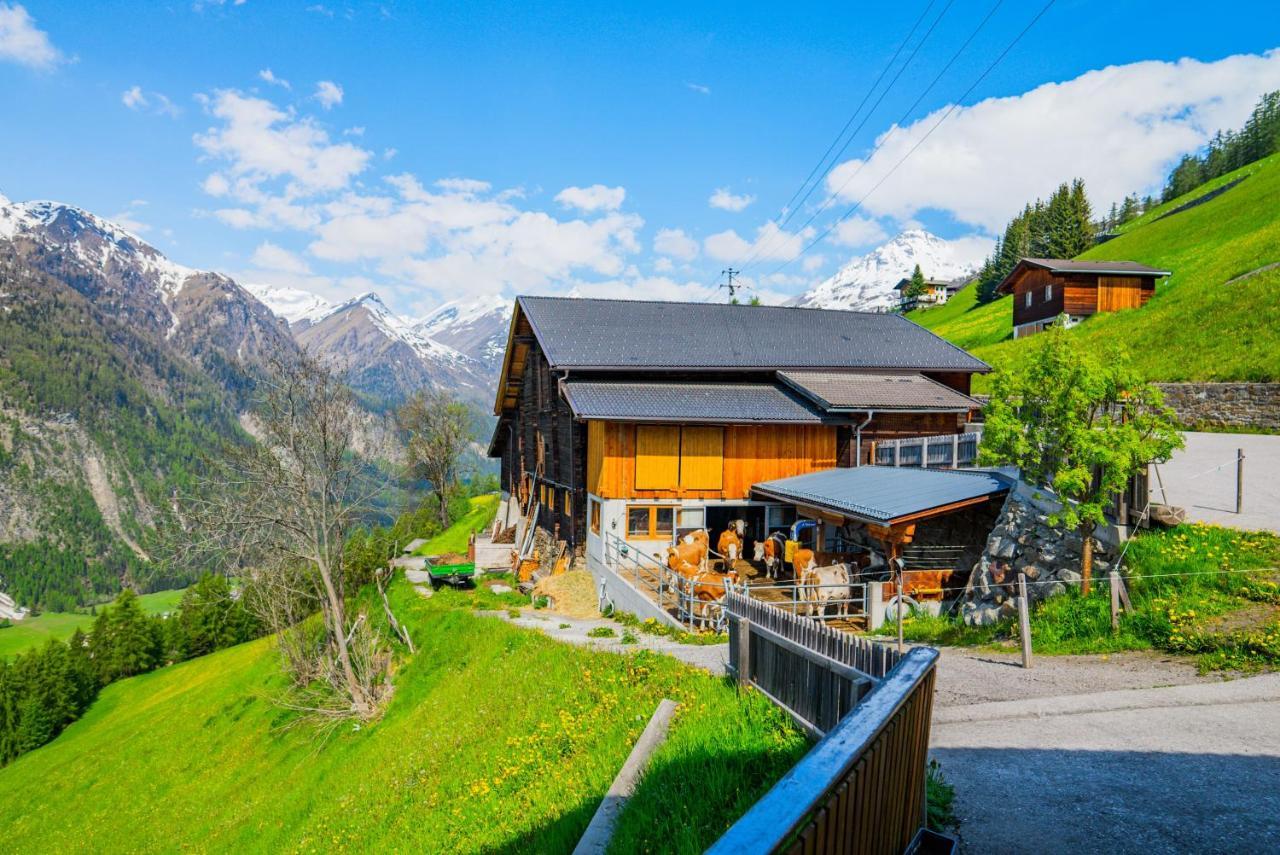 Appartement Seppenbauer Heiligenblut Zewnętrze zdjęcie