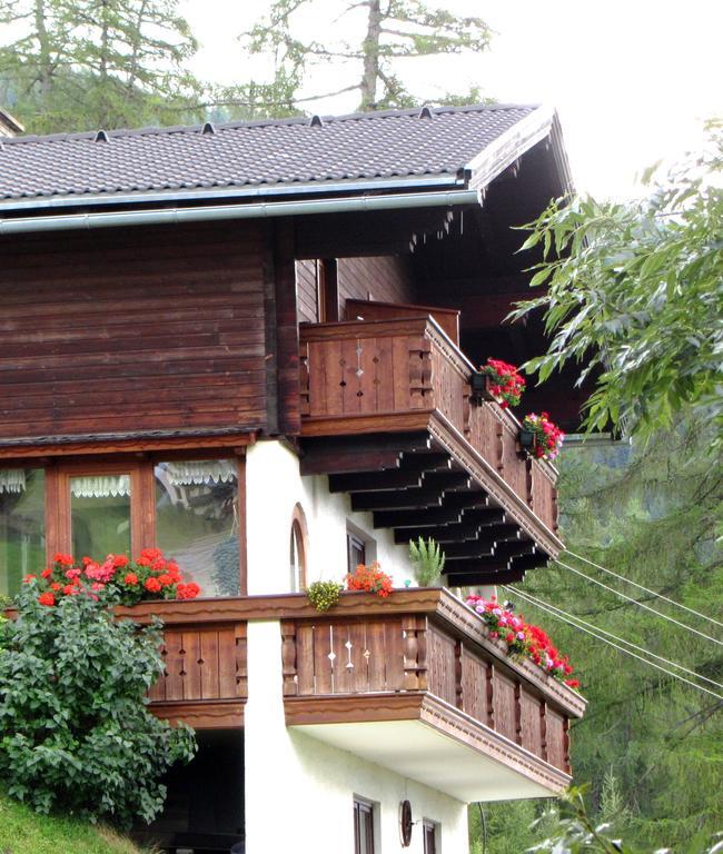 Appartement Seppenbauer Heiligenblut Zewnętrze zdjęcie